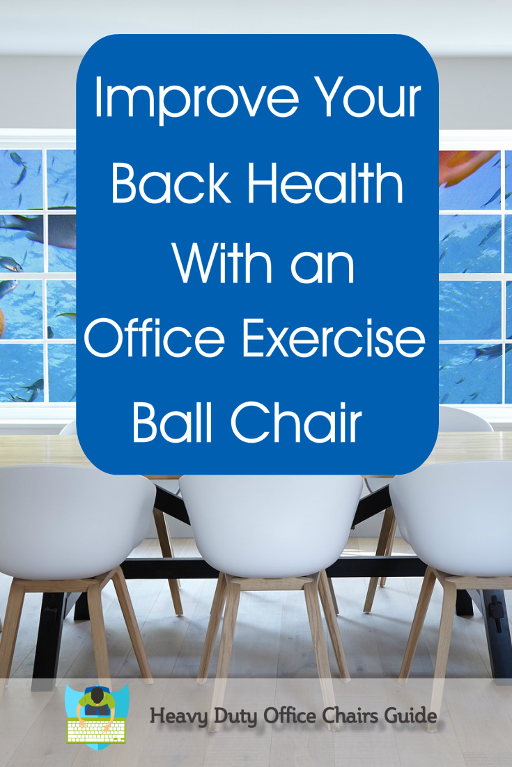 Office Exercise Ball Chair