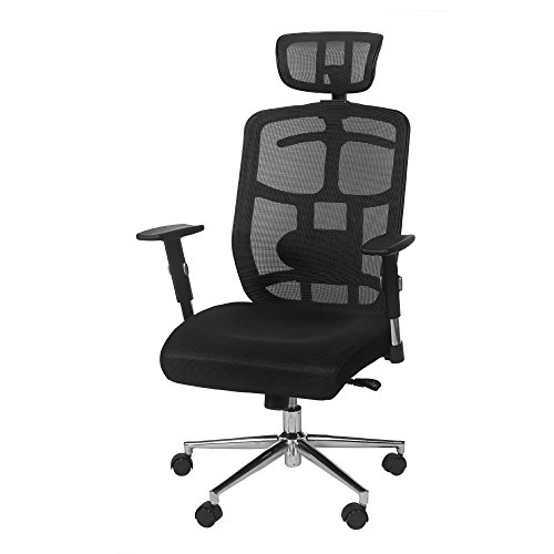 what is the best ergonomic high back mesh office chair with headrest