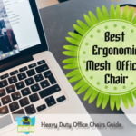 Most Comfortable Ergonomic Mesh Office Chair To Buy